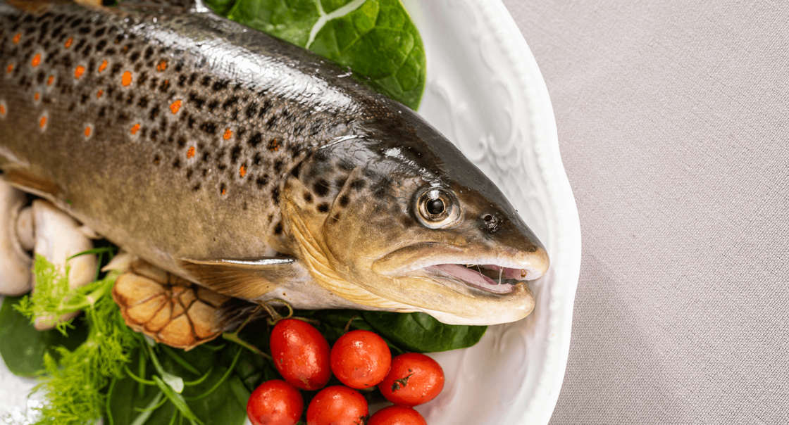 Fischgericht auf weißem Teller serviert